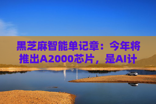 黑芝麻智能单记章：今年将推出A2000芯片，是AI计算效率的重大突破