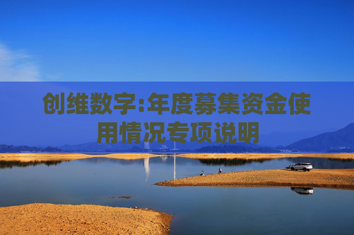 创维数字:年度募集资金使用情况专项说明