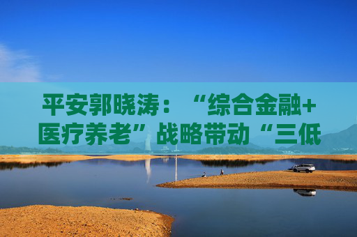 平安郭晓涛：“综合金融+医疗养老”战略带动“三低一高”和“三差”优化