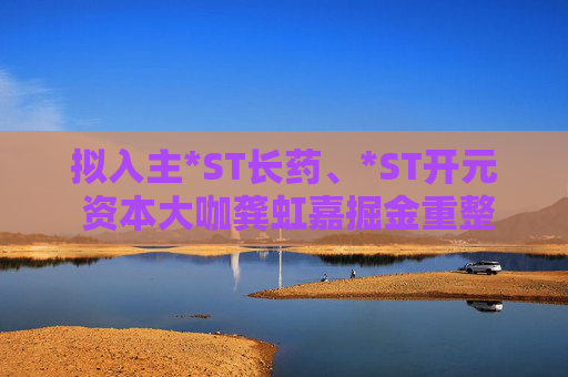 拟入主*ST长药、*ST开元 资本大咖龚虹嘉掘金重整市场