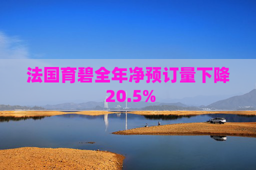 法国育碧全年净预订量下降 20.5%