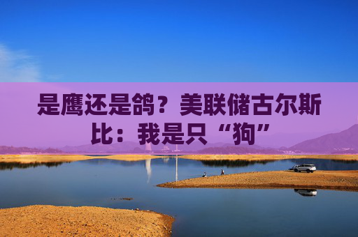 是鹰还是鸽？美联储古尔斯比：我是只“狗”
