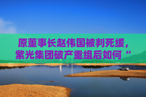 原董事长赵伟国被判死缓，紫光集团破产重组后如何“求生”？