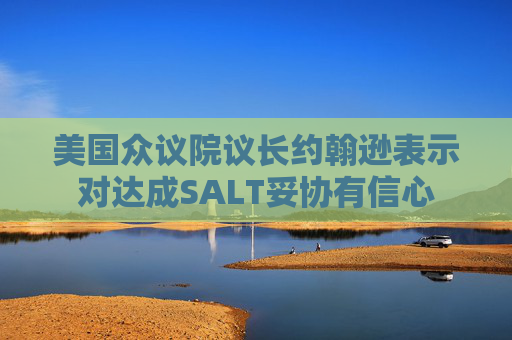 美国众议院议长约翰逊表示对达成SALT妥协有信心