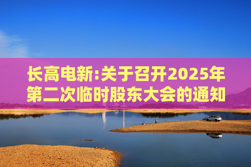长高电新:关于召开2025年第二次临时股东大会的通知