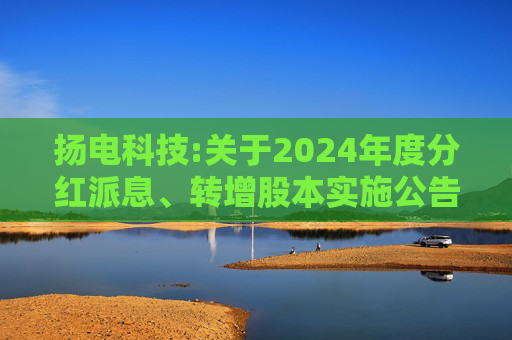 扬电科技:关于2024年度分红派息、转增股本实施公告