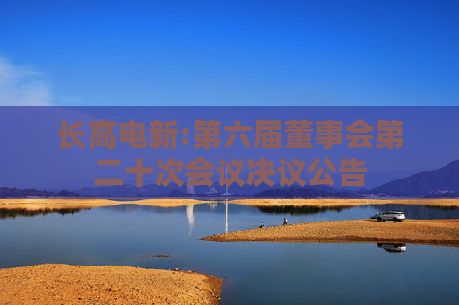 长高电新:第六届董事会第二十次会议决议公告