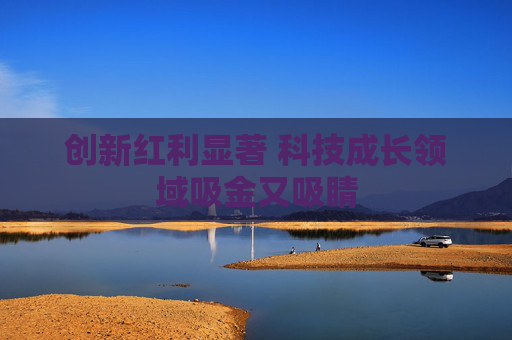 创新红利显著 科技成长领域吸金又吸睛