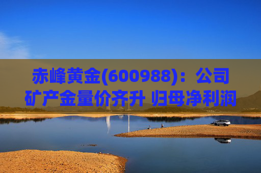 赤峰黄金(600988)：公司矿产金量价齐升 归母净利润创历史新高