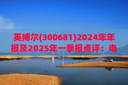 英搏尔(300681)2024年年报及2025年一季报点评：电源业务延续高增 EVTOL+机器人部件构建第二曲线