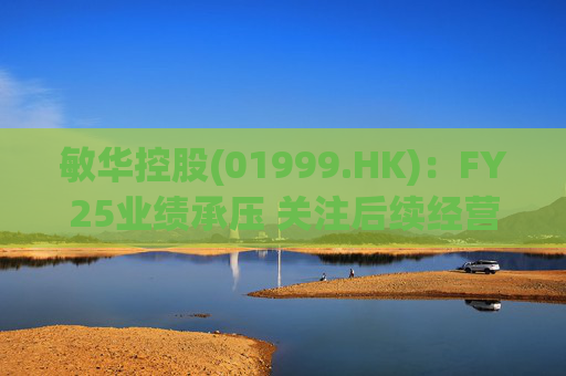 敏华控股(01999.HK)：FY25业绩承压 关注后续经营改善
