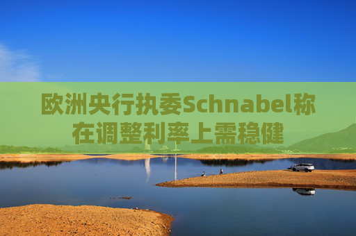 欧洲央行执委Schnabel称在调整利率上需稳健