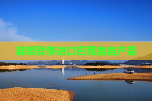 韩国暂停进口巴西禽类产品  第1张