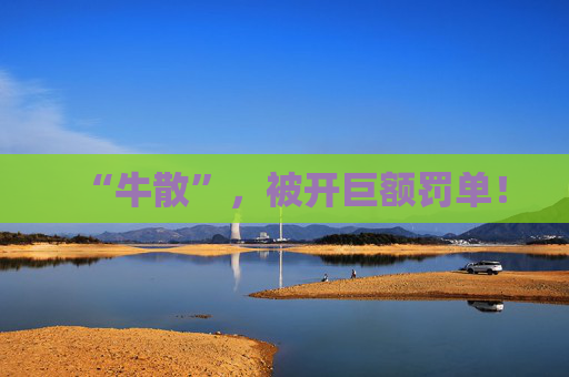 “牛散”，被开巨额罚单！