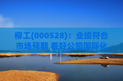柳工(000528)：业绩符合市场预期 看好公司国际化拓品类逻辑持续兑现