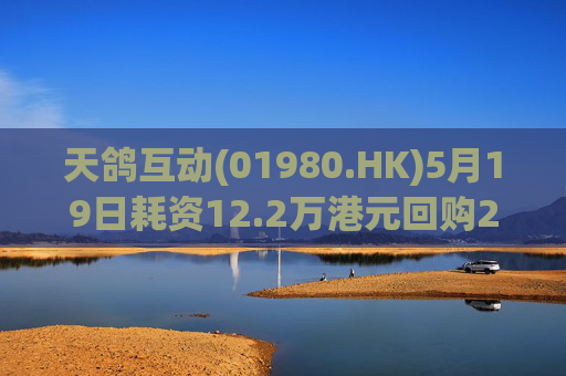 天鸽互动(01980.HK)5月19日耗资12.2万港元回购20万股