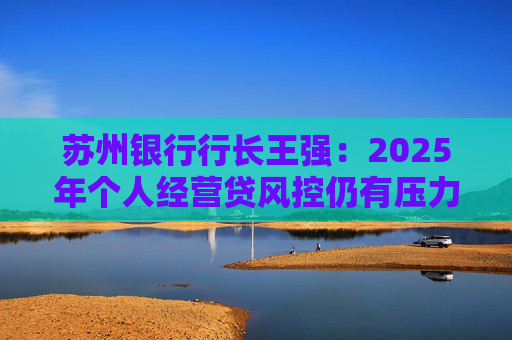 苏州银行行长王强：2025年个人经营贷风控仍有压力，但不会造成冲击
