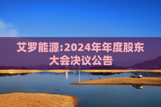 艾罗能源:2024年年度股东大会决议公告