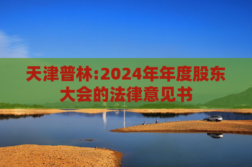 天津普林:2024年年度股东大会的法律意见书