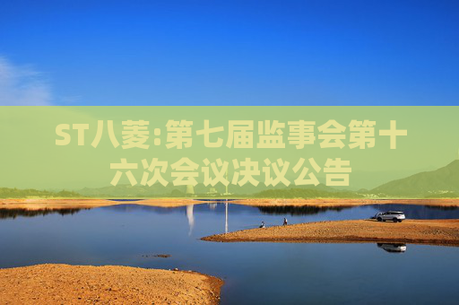 ST八菱:第七届监事会第十六次会议决议公告