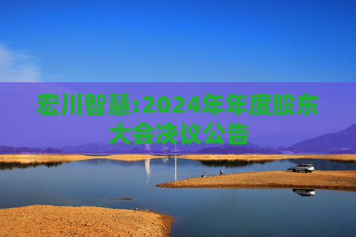 宏川智慧:2024年年度股东大会决议公告