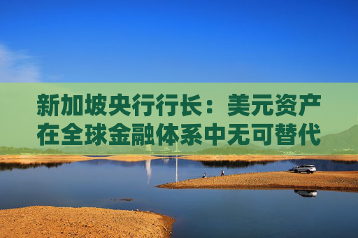 新加坡央行行长：美元资产在全球金融体系中无可替代