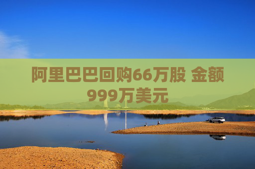 阿里巴巴回购66万股 金额999万美元