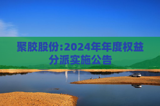 聚胶股份:2024年年度权益分派实施公告