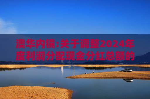 澳华内镜:关于调整2024年度利润分配现金分红总额的公告