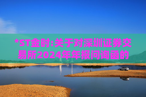 *ST金时:关于对深圳证券交易所2024年年报问询函的回复