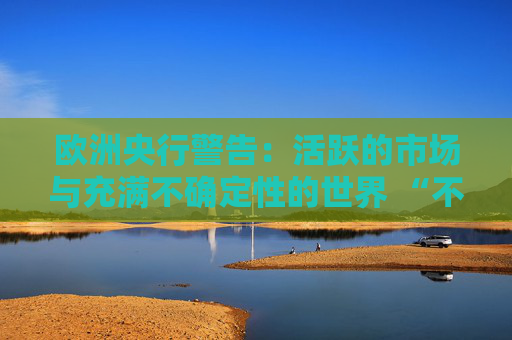 欧洲央行警告：活跃的市场与充满不确定性的世界 “不同步”