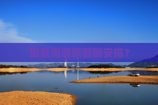 国泰海通新薪酬安排？