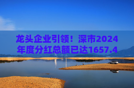 龙头企业引领！深市2024年度分红总额已达1657.47亿元