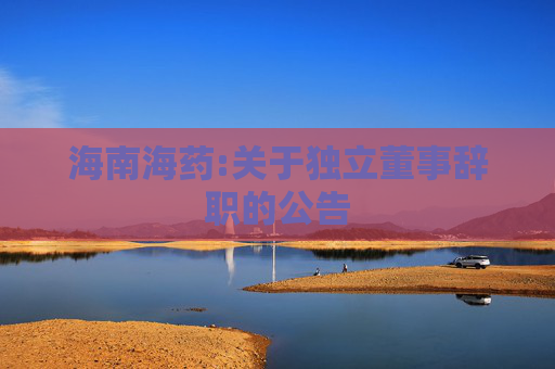 海南海药:关于独立董事辞职的公告