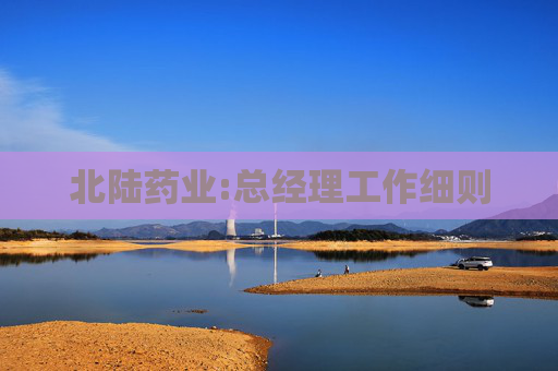 北陆药业:总经理工作细则
