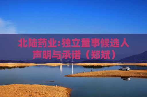 北陆药业:独立董事候选人声明与承诺（郑斌）