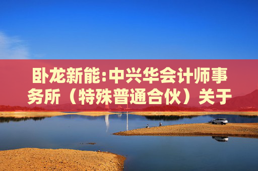 卧龙新能:中兴华会计师事务所（特殊普通合伙）关于不存在《上市公司监管指引第7号――上市公司重大资产重组相关股票异常交易监管》第十二条不得参与任何上市公司重大资产重组情形的说明