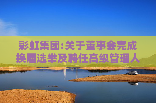 彩虹集团:关于董事会完成换届选举及聘任高级管理人员、证券事务代表、审计负责人的公告