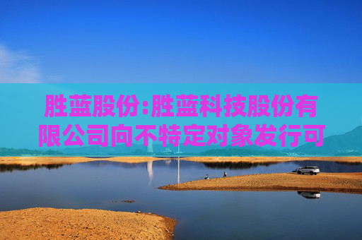 胜蓝股份:胜蓝科技股份有限公司向不特定对象发行可转换公司债券募集说明书（豁免版）（修订稿）（更新版）
