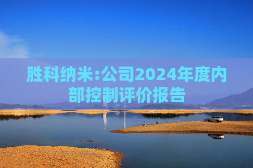 胜科纳米:公司2024年度内部控制评价报告