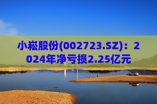 小崧股份(002723.SZ)：2024年净亏损2.25亿元