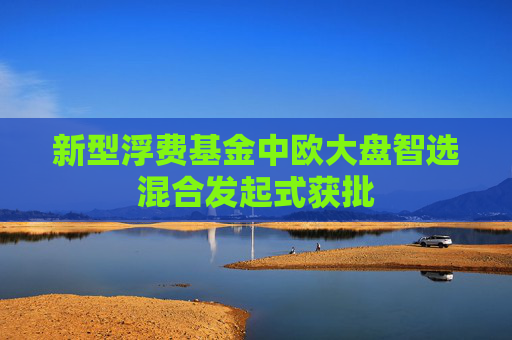 新型浮费基金中欧大盘智选混合发起式获批