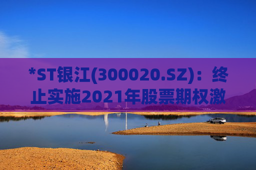 *ST银江(300020.SZ)：终止实施2021年股票期权激励计划及2023年限制性股票激励计划