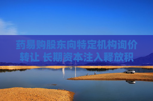 药易购股东向特定机构询价转让 长期资本注入释放积极信号