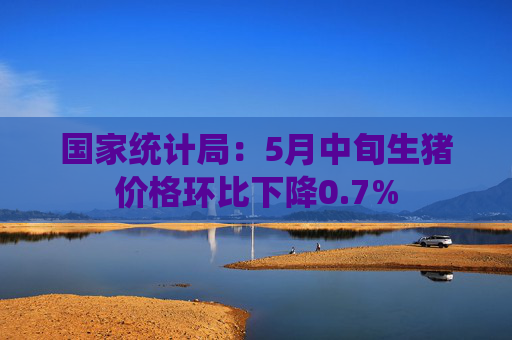 国家统计局：5月中旬生猪价格环比下降0.7%  第1张
