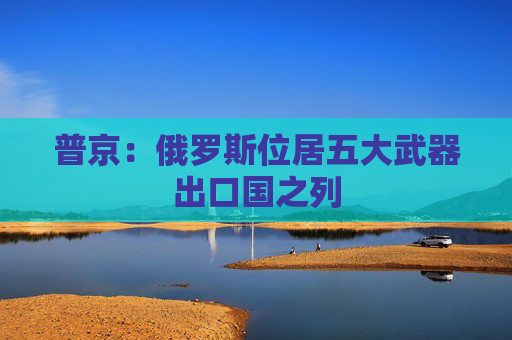 普京：俄罗斯位居五大武器出口国之列