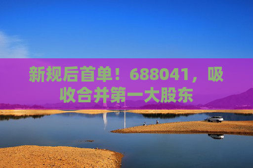 新规后首单！688041，吸收合并第一大股东
