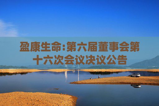 盈康生命:第六届董事会第十六次会议决议公告