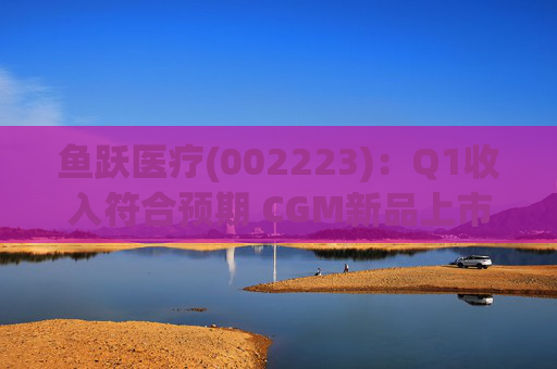 鱼跃医疗(002223)：Q1收入符合预期 CGM新品上市丰富增长动能