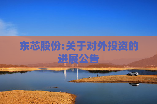 东芯股份:关于对外投资的进展公告  第1张